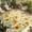 Yellow, variant on Indoor Outdoor Area Rugs,Rustic Yellow Sunflower Leaf Patio Rug Non-slip Quick Dry Camping Rugs,Cute Bee on Grey White Plaid Floor Carpet for Porch Deck Backyard Decor,4x6ft