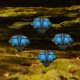 thumbnail image 4 of Cadena De Luces Led Solares Bird Animal Holiday Lights impermeable para Pathway Deck Lawn Patio (mariposa), 4 of 8