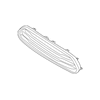 Genuine OE Mini Upper Grille - 51-13-7-405-396