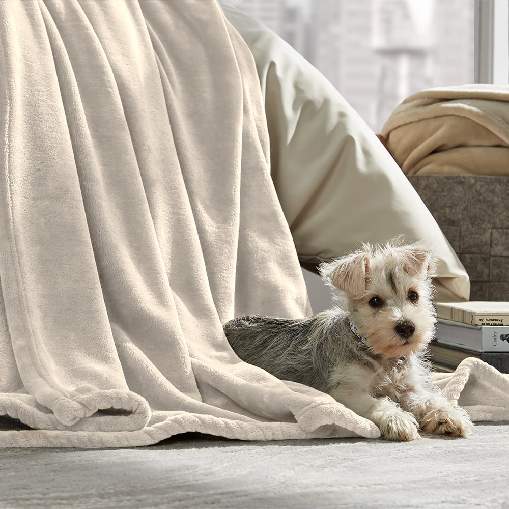 Cute Dog Painting 2 Throw Blanket Ultra Soft Fleece Flannel Light Weight All Season Living Room/Bedroom Modern Design 1