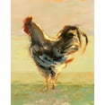 thumbnail image 2 of Harper, Ethan 12x14 White Modern Wood Framed Museum Art Print Titled - Sunlit Rooster II, 2 of 4