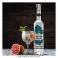 thumbnail image 4 of Ginebra Cantera Verde 700 ml, 4 of 4