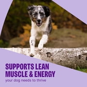 Wellness CORE Senior Dry Dog Food, Grain Free, High Protein, Natural, Age Advantage Turkey & Chicken Recipe, (24-Pound Bag)