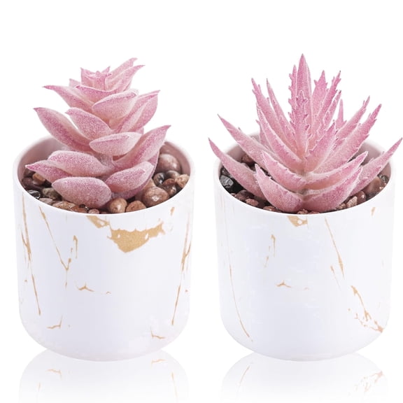 Miracliy 2 Pack Pink Artificial Succulent Plants, Fake Potted Succulents for Table Home Decor