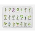 thumbnail image 1 of Periwinkle Bath Mat, Herbs for Memory Focus and Brain Work Plant Design, Plush Bathroom Decor Mat with Non Slip Backing, 29.5" X 17.5", Lime Green Multicolor, by Ambesonne, 1 of 2
