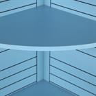 Demi Bonn 70.8" Corner Shelf, 5-tier Narrow Corner Bookcase Plant Corner Display Etagere for Small Spaces, Bedroom, Living Room, Blue