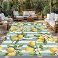 thumbnail image 2 of Yellow Lemon Outdoor Rug 6x9 Ft - Reversible Patio Rug Outdoor Camping Rugs, Spring Botanical Floral Leaves Aqua Stripes Indoor Outdoor Area Rugs, Non-Slip Outdoor Carpet Runner for Deck/Porch, 2 of 8