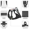 thumbnail image 6 of Gaeub Vintage Rose Gaeub Vintage Rose No Pull Dog Harness, Secure and Adjustable Pet Vest for Outdoor Activities - Medium, 6 of 9