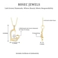 thumbnail image 4 of Rosec Jewels - Lab Diamond Heart Pendant with Chain - Ready to Gift for Valentines Day, 14K Yellow Gold, 4 of 6