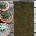 thumbnail image 3 of OULII Artificial Moss Decorative Olive Green 1Set Yard Decorative Accessory Homeowners, 3 of 8