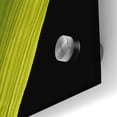 thumbnail image 2 of Epic Art 'Dramatic Bird of Paradise' by Tim O'Toole, Acrylic Glass Wall Art, 24"x36", 2 of 3