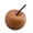 1, variant on ANXPTIME Natural Wood Apples Diffuser Essential Oil Scented Dispenser For Living Space