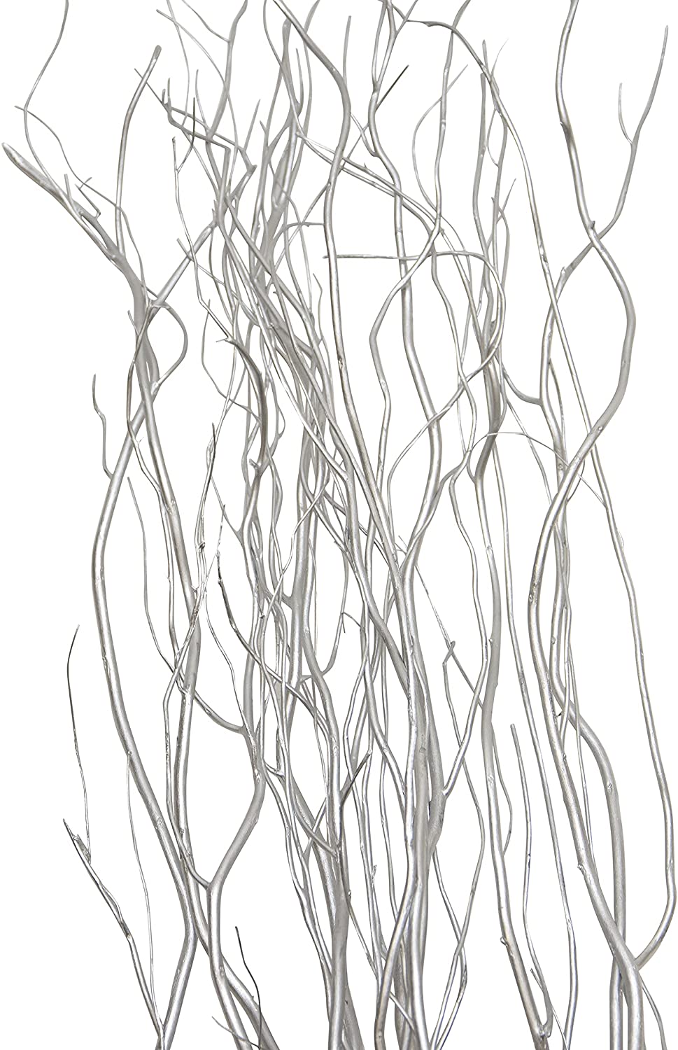 Green Floral Craft 12 Stem Dried Curly Willow Branches 45 Feet Tall