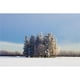 Posterazzi DPI1876452 Parkland County, Alberta, Canada - un Groupe d'Arbres dans un Champ Couvert de Neige en Impression d'Affiche d'Hiver, 19 x 12 – image 1 sur 1
