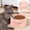 🔥 Pink_New#796, variant on Spill-Proof Cat Bowl Wide-Mouth Elevated Feeder | 15° Tilt Ergonomic Design | Durable BPA-Free Plastic, Non-Slip Anti-Tip Base, Easy Clean | 14cm Beige/Orange/Blue/Green | 1pc