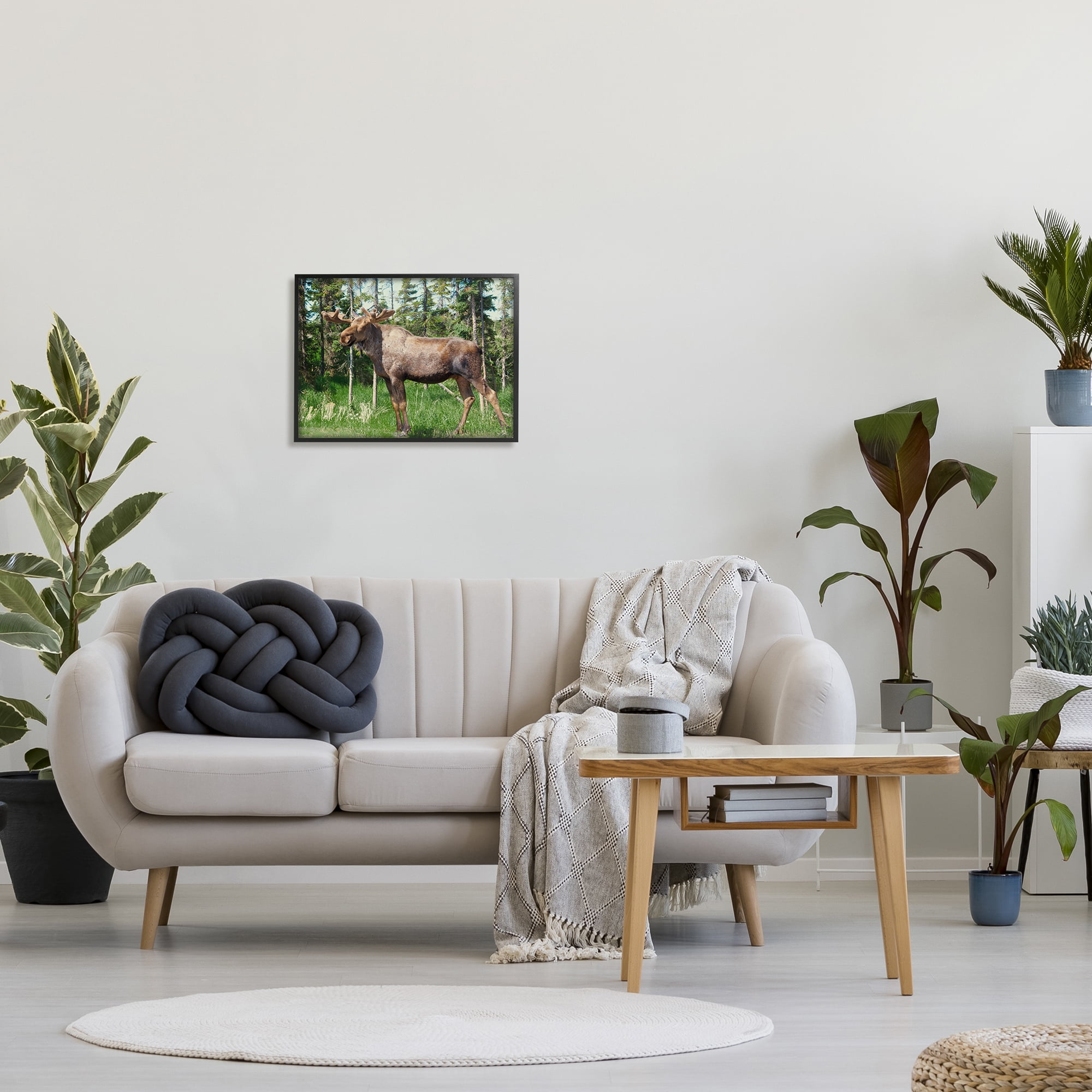 Stupell Moose Forest Grove Woodland Landscape Animals & Insects Photography Black Framed Art Print Wall Art