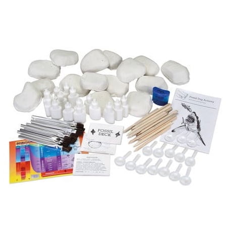 Fossil Dig Classroom Project for the Paleontology Enthusiast.