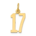 thumbnail image 1 of 14k Yellow Gold Small Polished Elongated 17 Charm, 1 of 4
