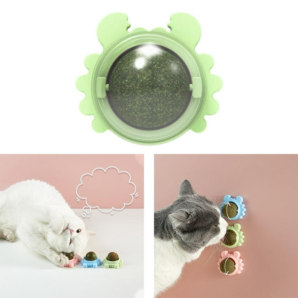 Cataire Mural Balle Chat Jouets Animal Avocat Menthe Nettoyage