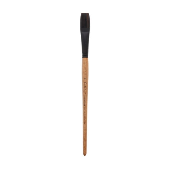 Princeton Brush Catalyst Polytip Long Handle Bristle Brush, Flat, 12