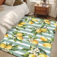 thumbnail image 4 of 3'x5' Area Rugs, Yellow Lemon Indoor Outdoor Area Rug for Living Room Bedroom, Spring Botanical Floral Leaves Aqua Stripes Washable Bathroom Rugs Kitchen Floor Carpet Mats Home Decor Aesthetic, 4 of 8