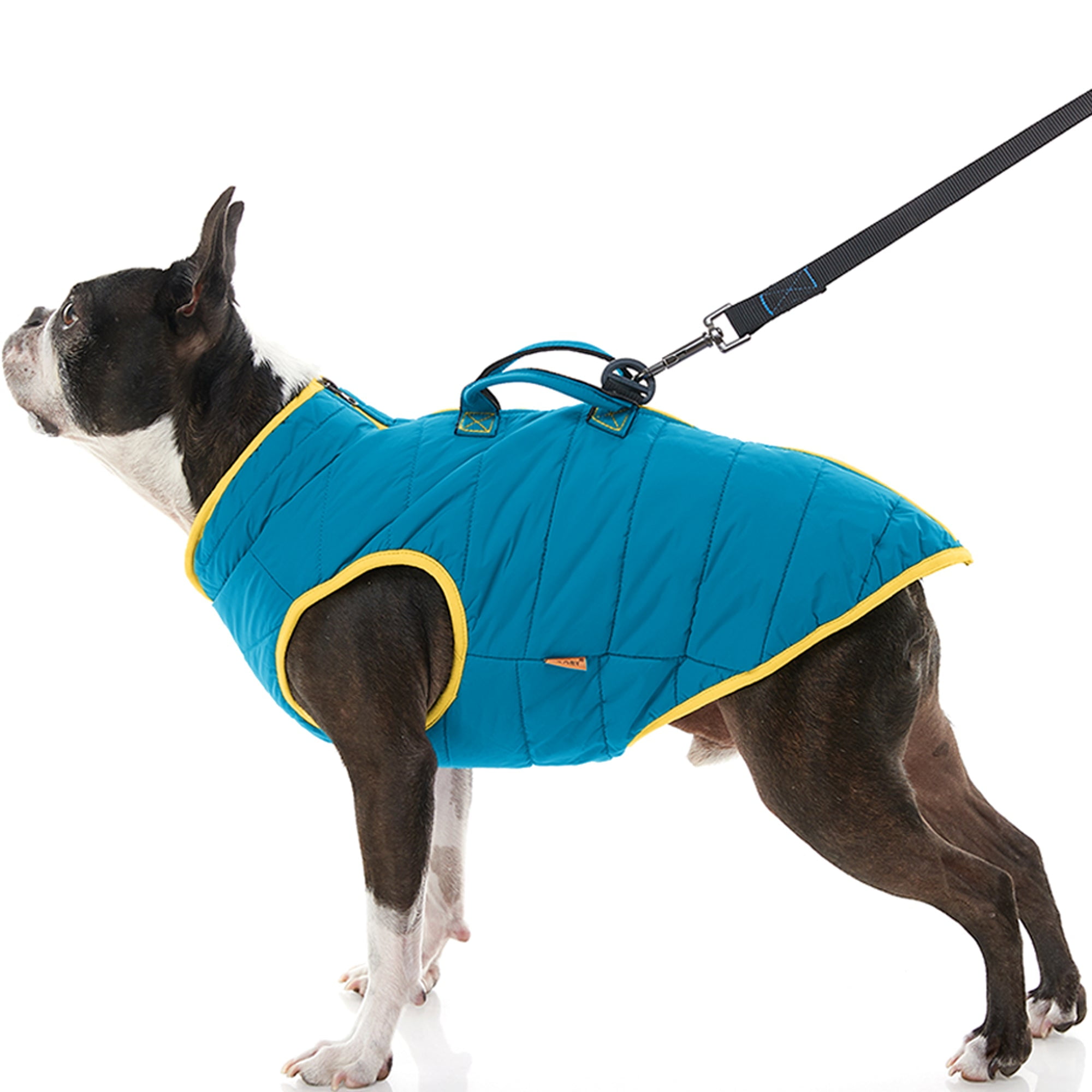 Gooby Padded Dog Vest Lift Turquoise Large Dog Jacket Coat with Handle and D Ring Leash Small Dog Sweater with Zipper Closure Dog Clothes for