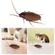 thumbnail image 4 of Juguete interactivo para mascotas, juguete, cucarachas, juguete vibratorio, perfke Juguetes de vibración de rastreo, 4 of 8