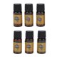 thumbnail image 2 of 6 piezas 10 ml de aceite esencial de jengibre para adelgazar, reafirmar la piel, relajar los músculos, adelgazar el cuerpo, aceite de masaje, 2 of 10