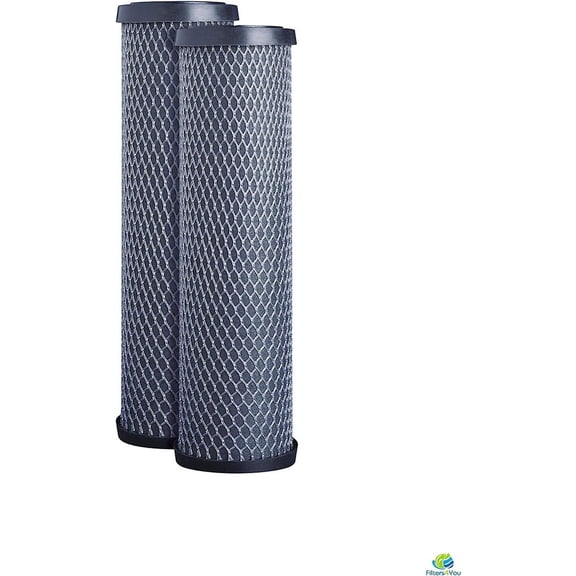 CFS 2 Pack Carbon Water Filter Cartridges Compatible with 42-34370 Models