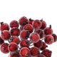 thumbnail image 4 of Bayas de Acebo Artificiales escarchadas Xihbxyly Minifrutas Navideñas Falsas Decoración de flores 12 mm, 4 of 6