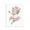 Whimsical Ballerina Hippo Tutu, variant on Stupell Industries Cottage Ballerina Hippo in Tutu Black Floating Frame Canvas Art, 17 x 21, by LSR Design Studio