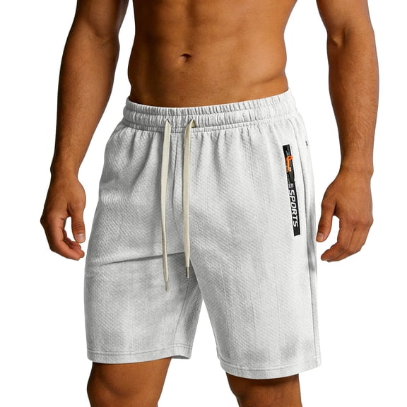 DayScoop Men's Summer Shorts Fashion Shorts Solid Color Sport Casual Holiday Basketball Breathable Zipper Pockets Short Pants