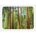 thumbnail image 1 of National Parks Bath Mat, Up View of Tree Branches in Scenic Springtime Conifers Sequoia Art Prints, Non-Slip Plush Mat Bathroom Kitchen Laundry Room Decor, 29.5 X 17.5 Inches, Green Brown, Ambesonne, 1 of 2