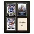 thumbnail image 6 of Dez Bryant Dallas Cowboys 8'' x 10'' Plaque, 6 of 9