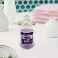 thumbnail image 3 of TIMIFIS candle candle 1pc 90g Transparent Soy Wax Scented Candle Clear Glass Jar, Suitable For Home Decoration And Romantic Gift kitchen gadgets Kitchen Gadgets, 3 of 4