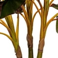 thumbnail image 4 of Vickerman 30" Artificial Real Touch Dracaena., 4 of 7