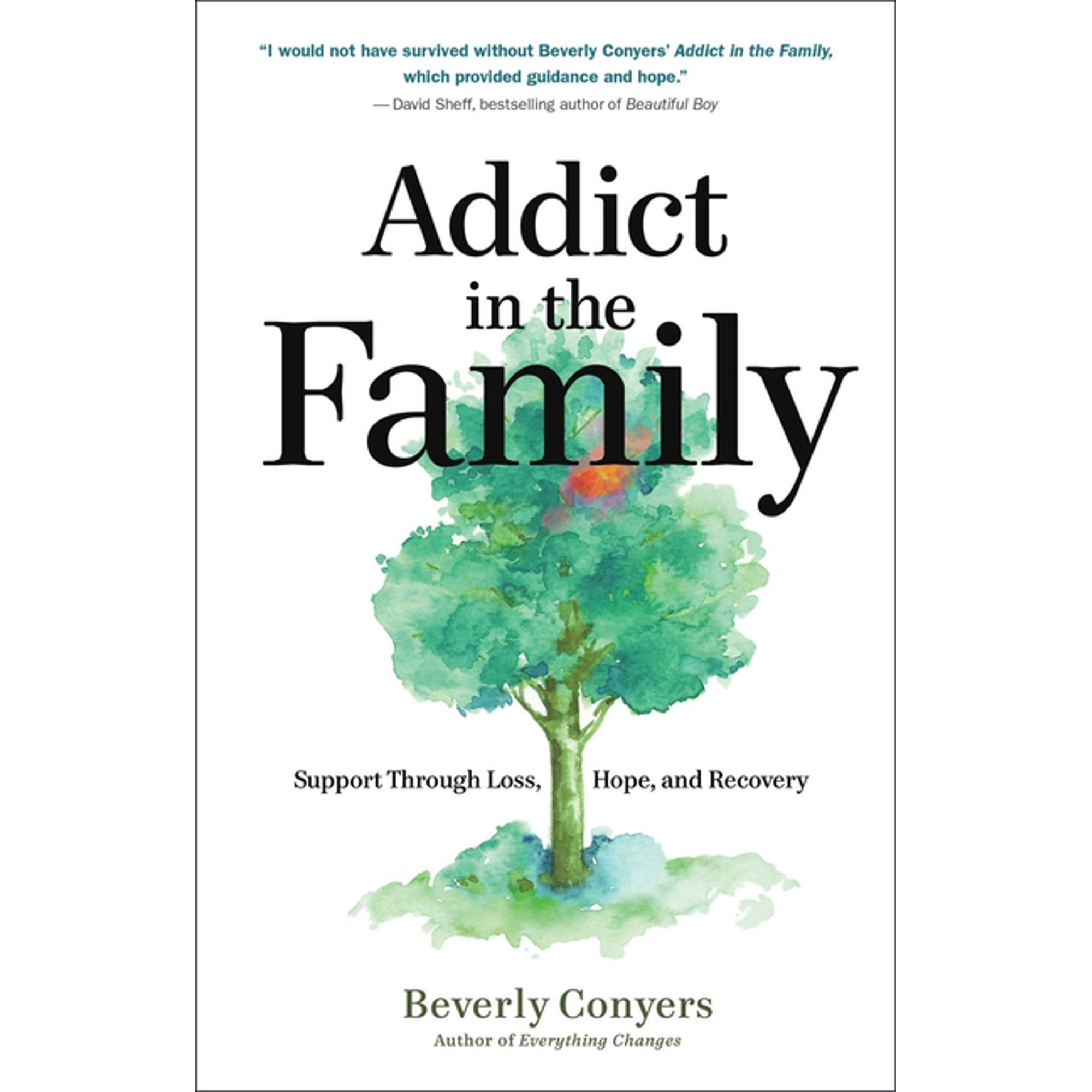 Addict in the Family: Support Through Loss, Hope, and Recovery, (Paperback)