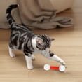 thumbnail image 4 of Interactive Cat Toy Set with Soft Teething Chew Sticks for Indoor, 4 of 4