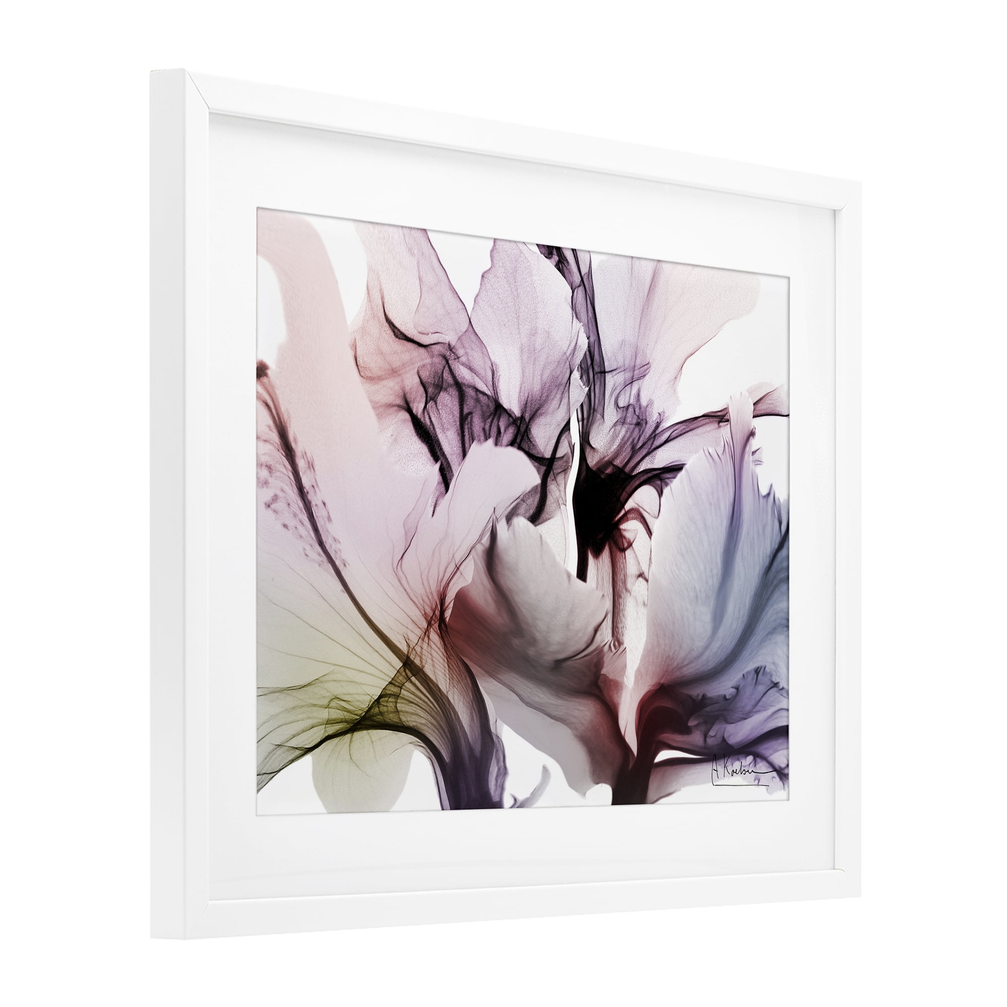 Stupell Industries Brilliant Song Flower Petals White Framed Print Under Glass, design by Albert Koetsier