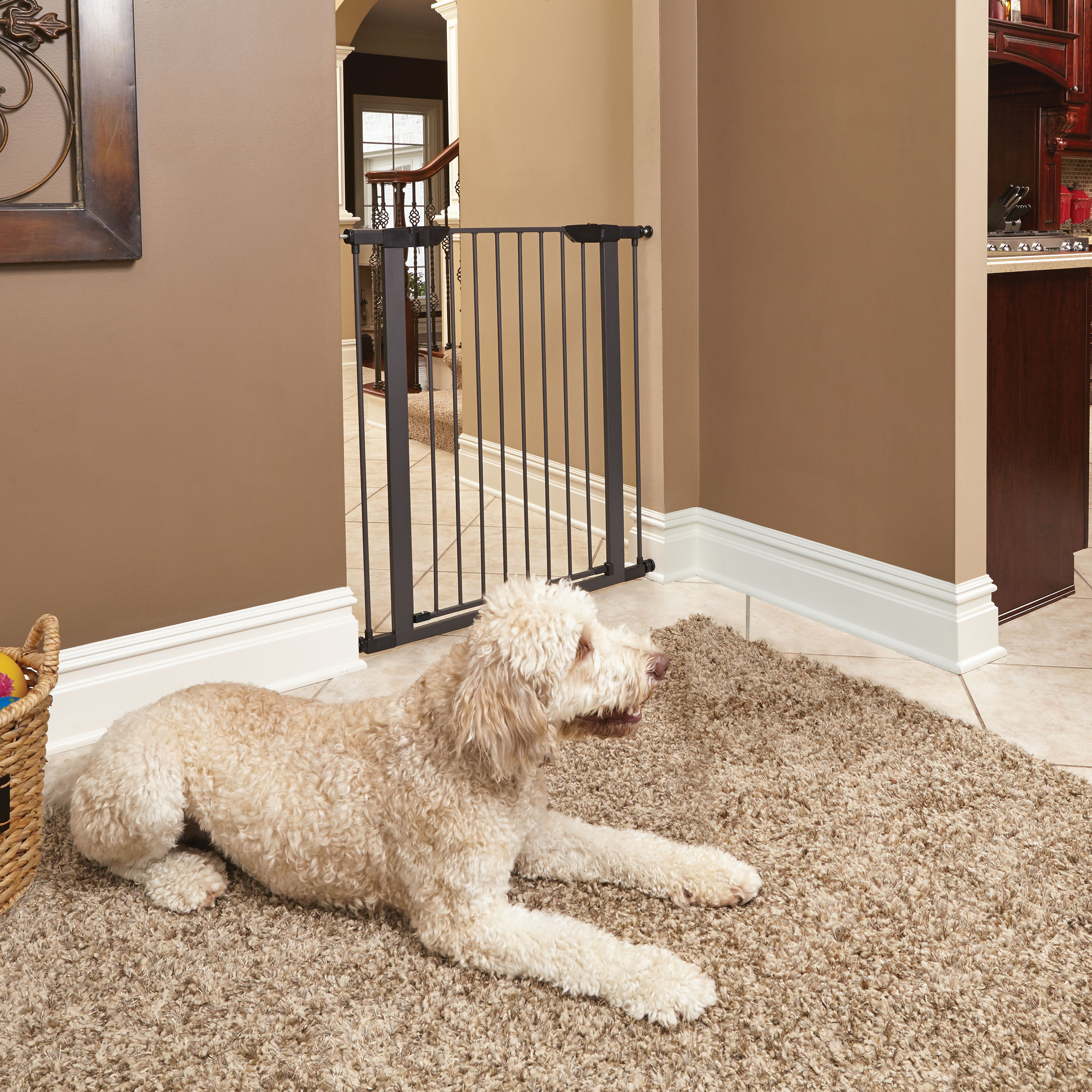 MidWest 39" Walk-Through Dog Gate, Steel photo 1