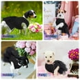 thumbnail image 4 of Vestido QBLEEV Wedding para perros medianos con falda tutú de encaje, 4 of 6