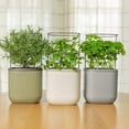 thumbnail image 5 of Vego Garden Mini Planter Box with Trellis Self-Watering Raised Garden Bed for Climbing Vegetables Plants Cage - Fog Gray, 5 of 8