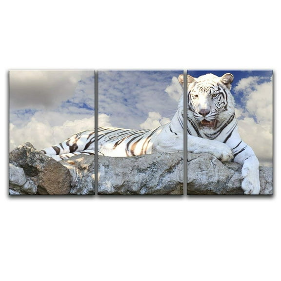 wall26 - 3 Panel Canvas Wall Art - White Tiger Lying on The Rock - Giclee Print Gallery Wrap Modern Home Art Ready to Hang - 24"x36" x 3 Panels