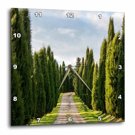 3drose, Italy, Tuscany, Long Driveway Lined with Cypress Trees, 10x10 Wall Clock