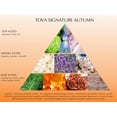 thumbnail image 5 of Tova - Firma Otoño Eau De Parfum 3.4 Fl Oz, 5 of 5