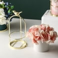 thumbnail image 3 of Abbracc Ceramic Fleshy Hydroponic Flower Pot with Golden Iron Stand White, 3 of 9