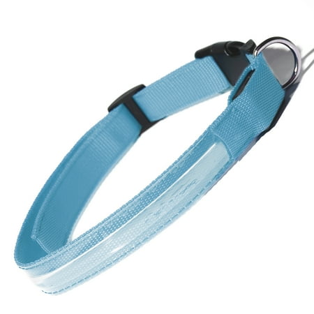 Paws & Pals Dog Collar LED Color Flashing Light Visible Night Walk - MM - Blue