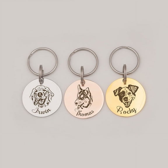 Anavia Stainless Steel Double Sided Round Name and Pet Portrait Engraved Dog & Cat ID Tag, Multi-color, S