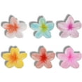 thumbnail image 5 of Flower Hair Clips 6 PCS Hawaiian Flower Claw 7 CM Large Hair Jaw Clips Hair Cute Nonslip Banana Barrettes Headwear Accessories for Women Thick Hair, 5 of 5