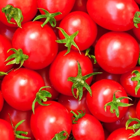 Tomato Seeds - Calypso - 1 Oz ~7 500 Seeds - Solanum lycopersicum - Farm & Garden Vegetable Seeds - Non-GMO Heirloom Open Pollinated Annual